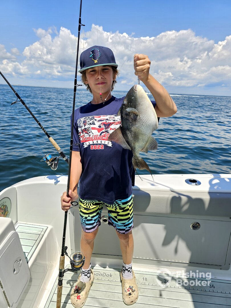 Stone Harbor Report Photo 0