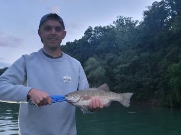 Youngstown Report Photo 2