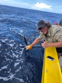 Sailfish & Mahi on 1/2 Day Trip - July 3