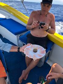 Half day Mahi & Sashimi on board!