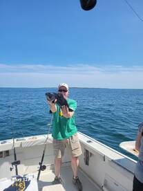 The seabass are on the bite 