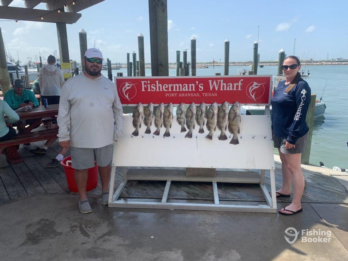 Black Drum, Port Aransas