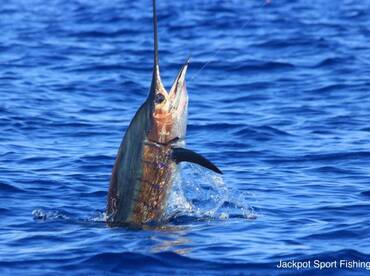 Quepos Report Photo 2