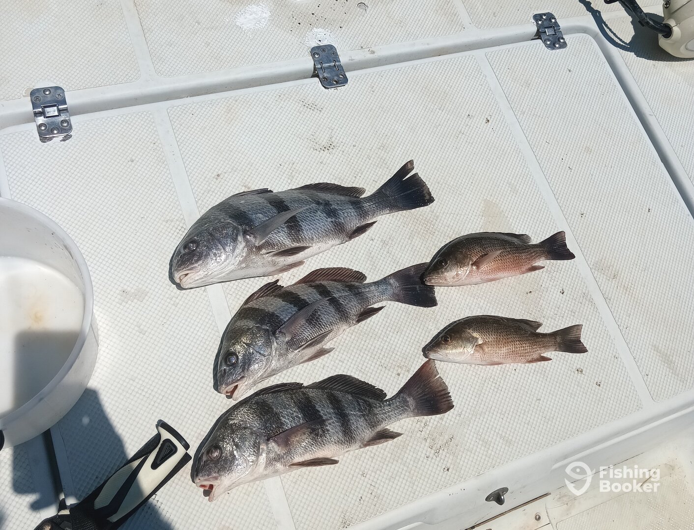 Palm Coast Report Photo 0