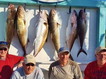Big AmberJacks