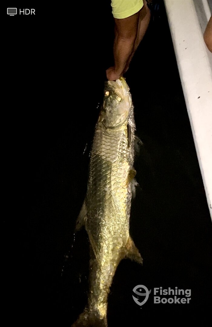 Orlando Report Photo 0