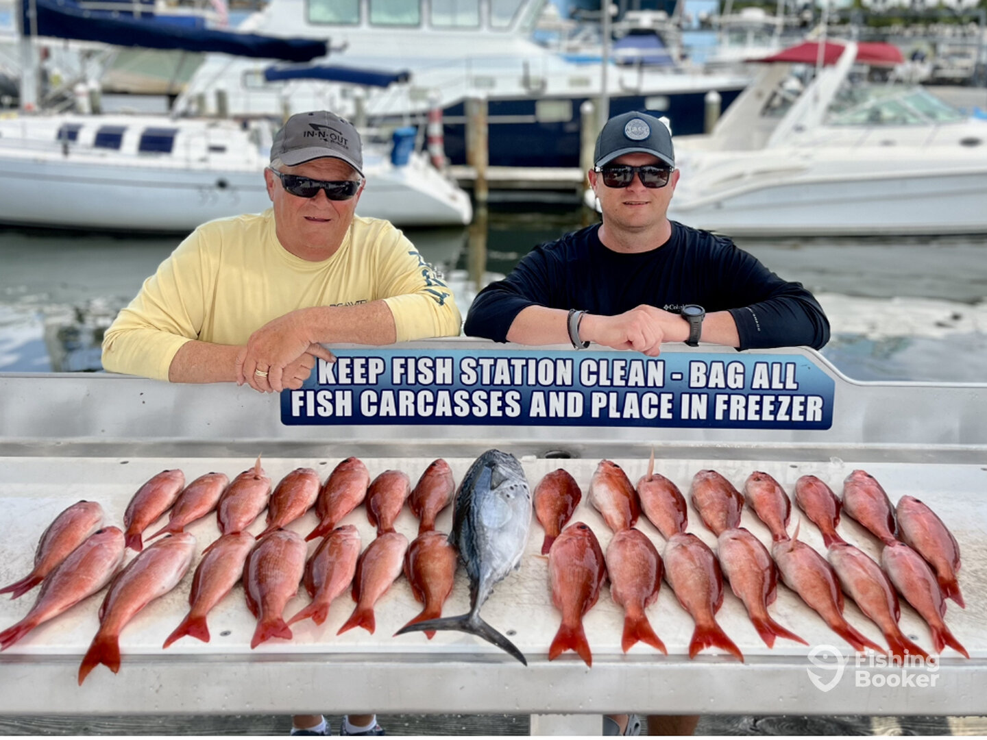 Shalimar Report Photo 0