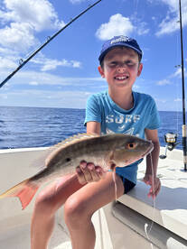 North Miami Report Photo 2