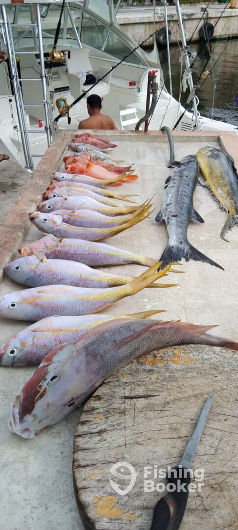 Puerto Aventuras Report Photo 0