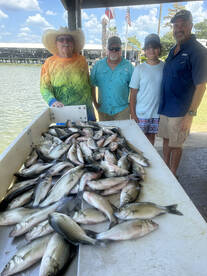 Look at all those fish!!!!!!