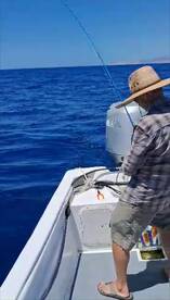 San Jose del Cabo Report Photo 2