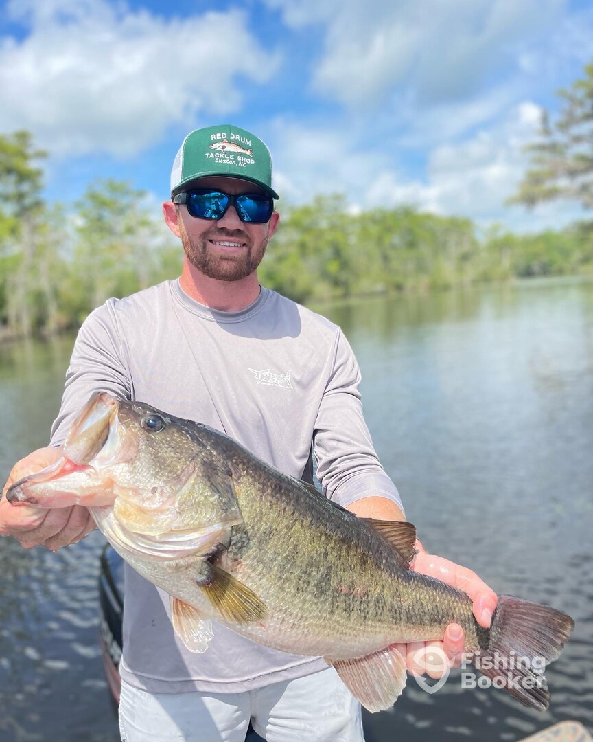 Aydlett Report Photo 0