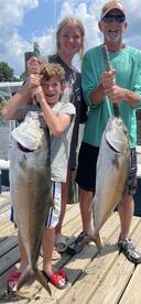 Amberjacks