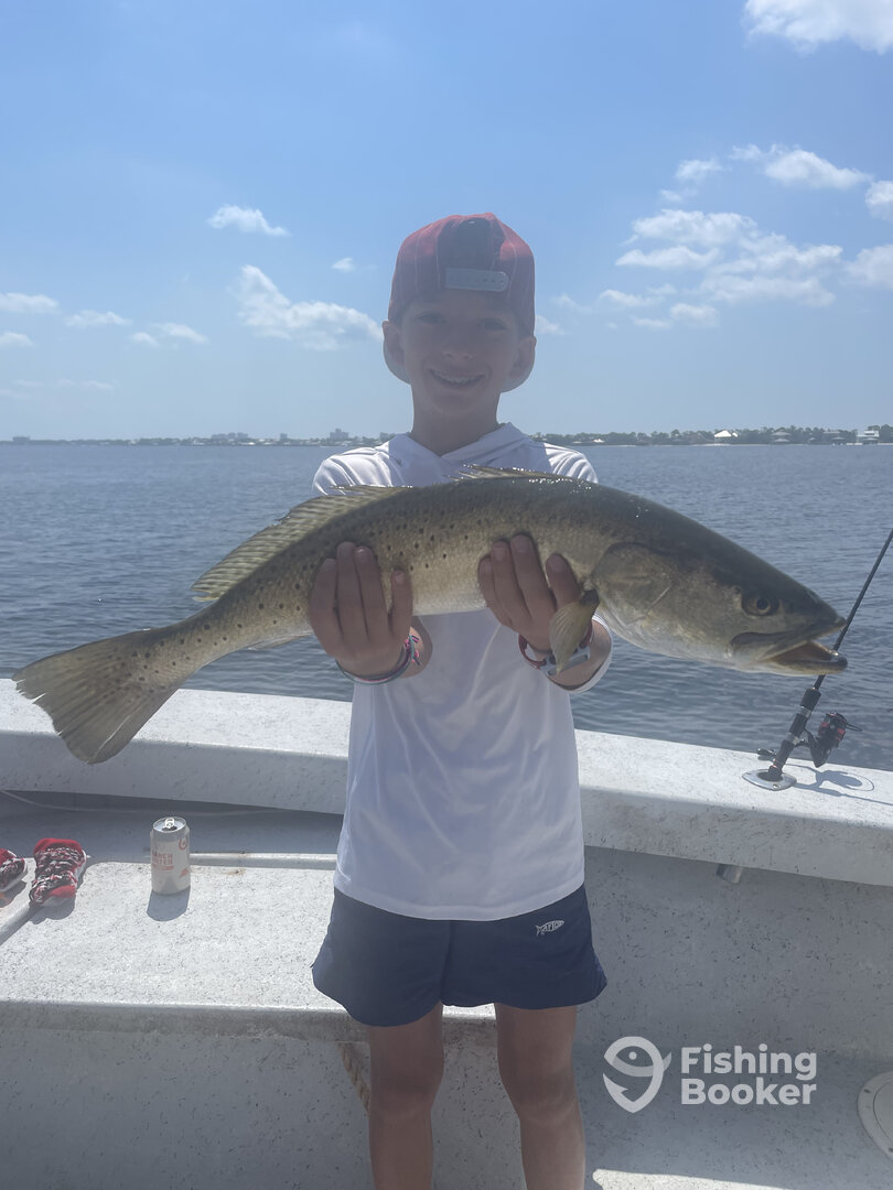 Orange Beach Report Photo 0