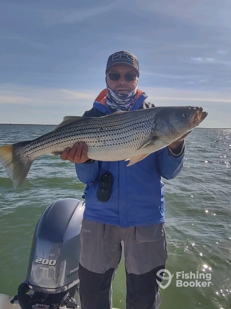 Pottsboro Report Photo 0