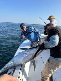 Dennis Report Photo 2