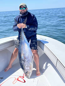 Dennis Report Photo 1