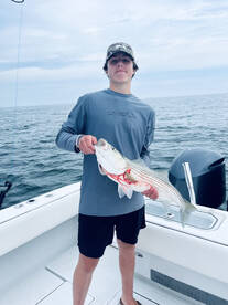 Chatham Report Photo 1