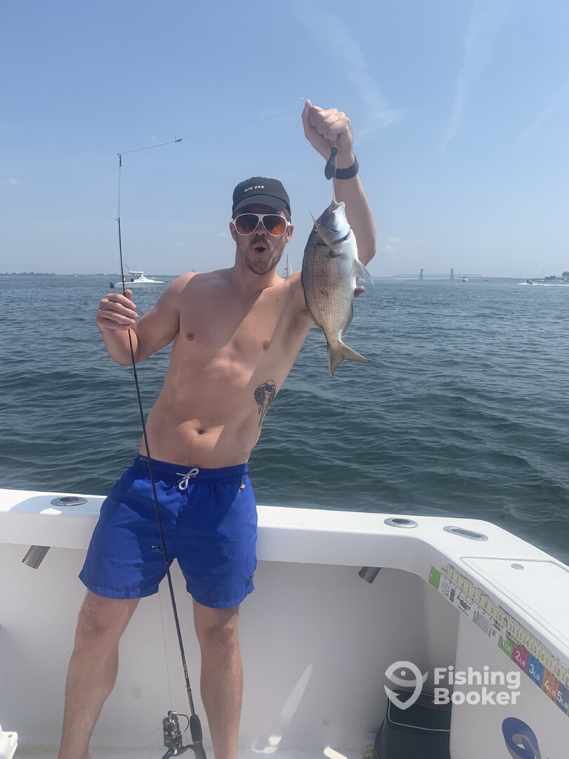 New York City Report Photo 0