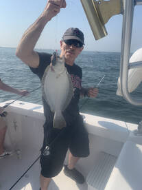 New York City Report Photo 1