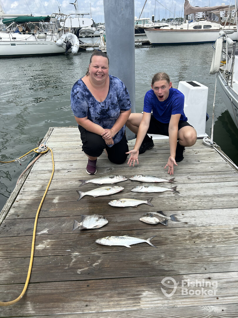 Norfolk Report Photo 0