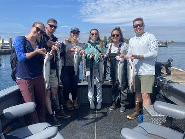 Puget sound salmon going strong