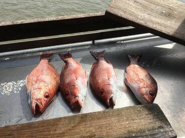 Freeport Report Photo 2