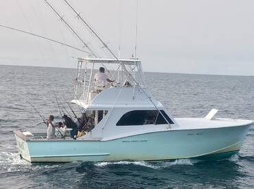 Wanchese Report Photo 1