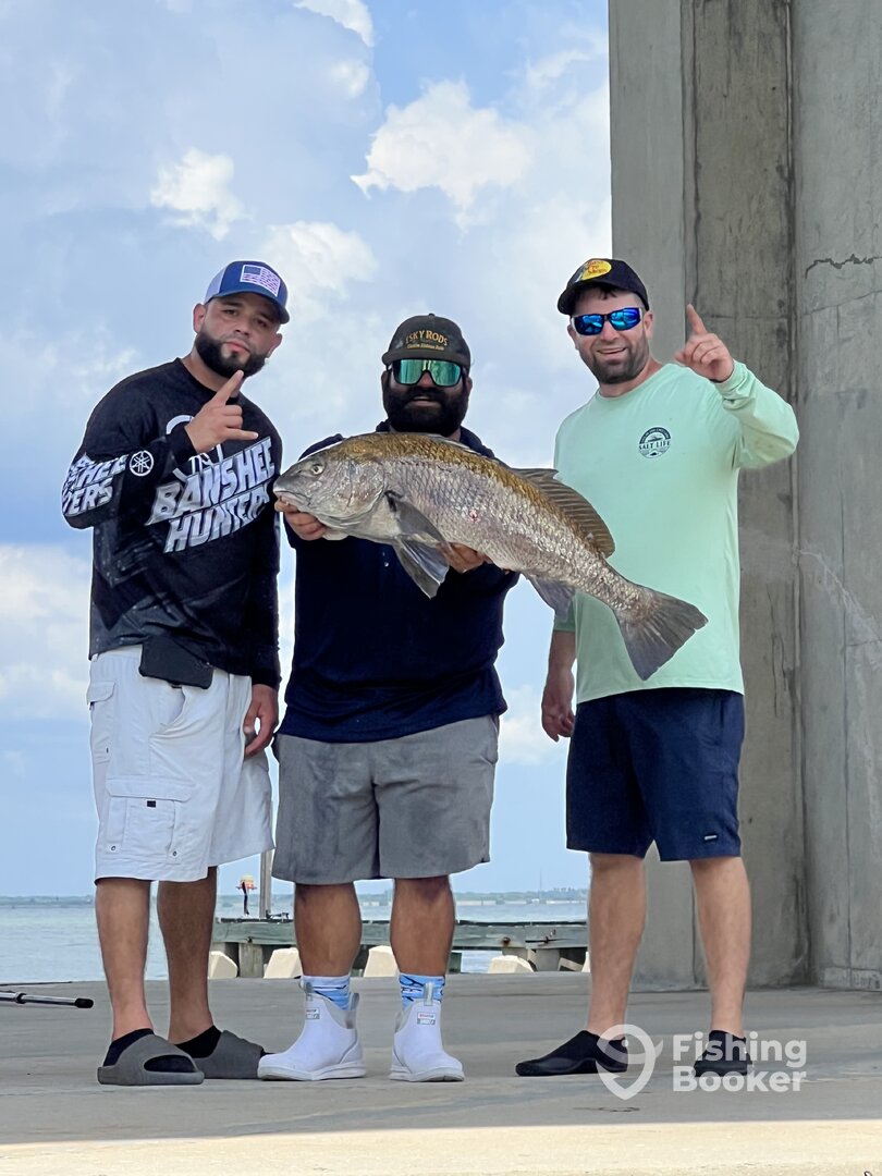 Tampa Report Photo 0