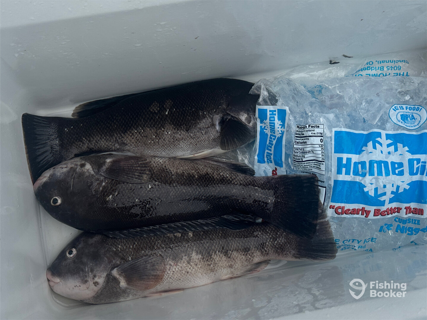 Atlantic City Report Photo 0