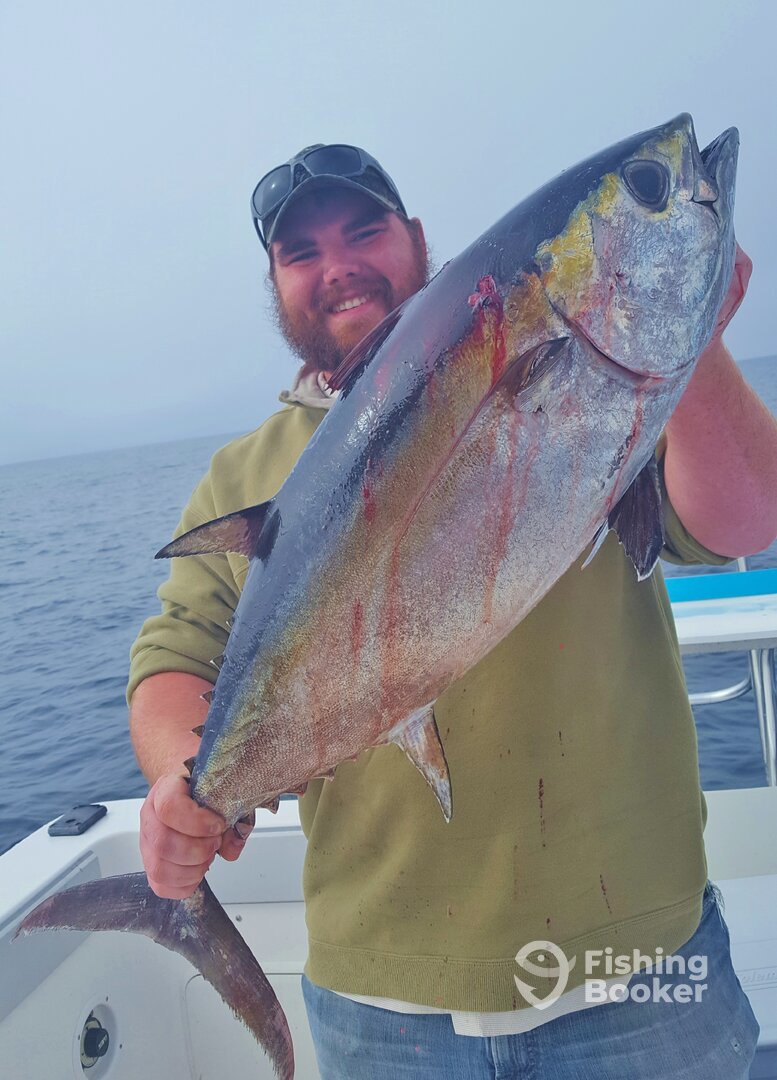 Orange Beach Report Photo 0