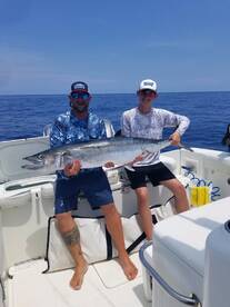 Late Summer King Mackerel