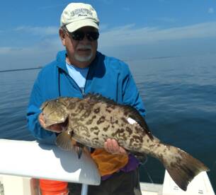 Tampa Report Photo 1