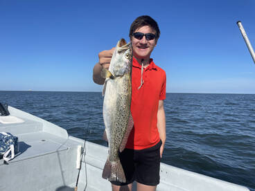 Specks and blues with calm seas!