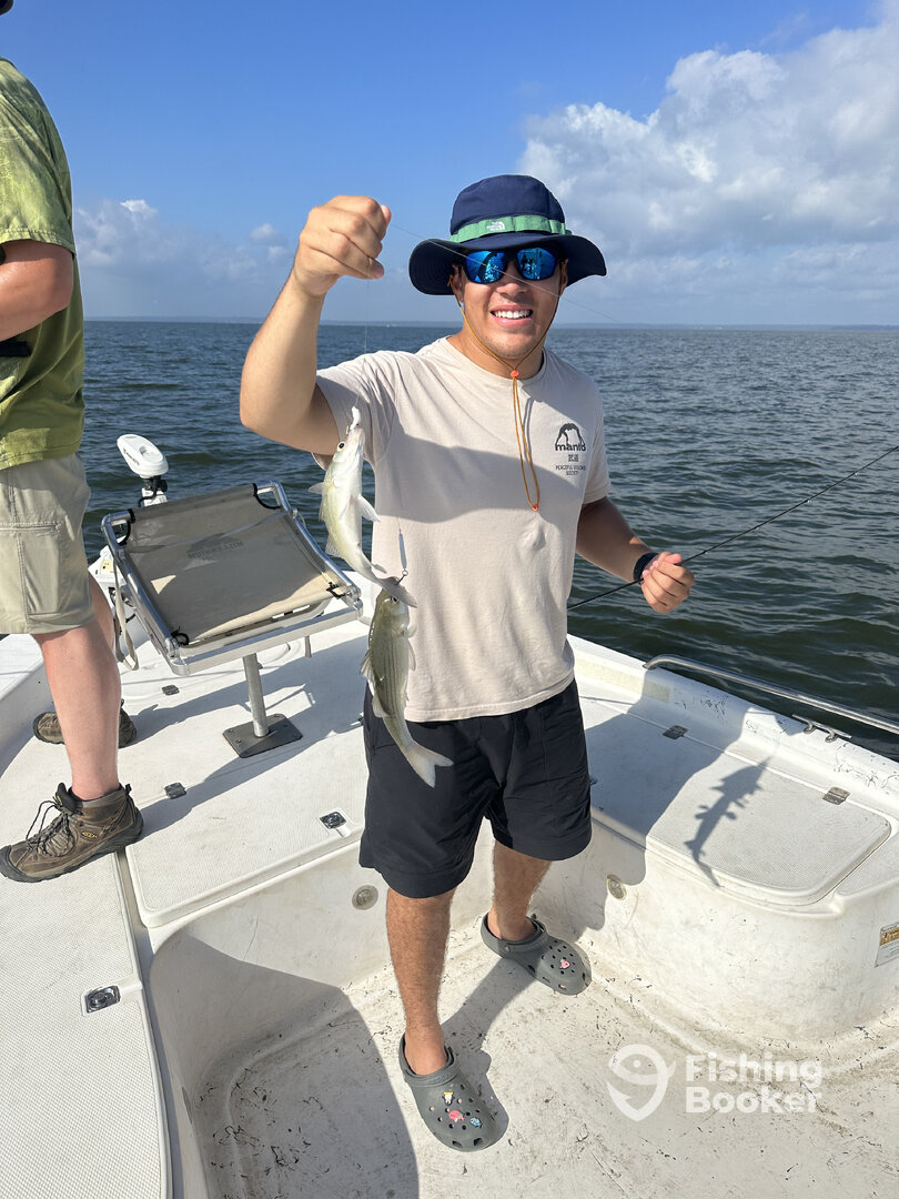 Livingston Report Photo 0