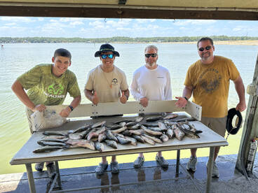 Livingston Report Photo 2