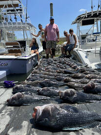 Wreck fishing sea bass trip