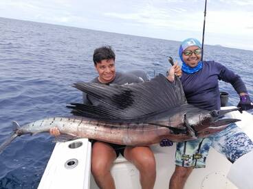 Sailfish and Cubera Snapper action..!