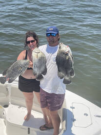 Dint miss out on the action!