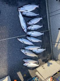 Everett Report Photo 2