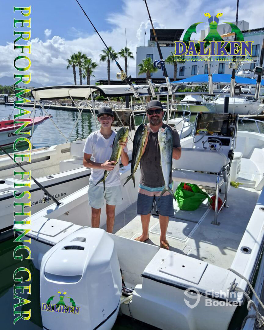 San Jose del Cabo Report Photo 0