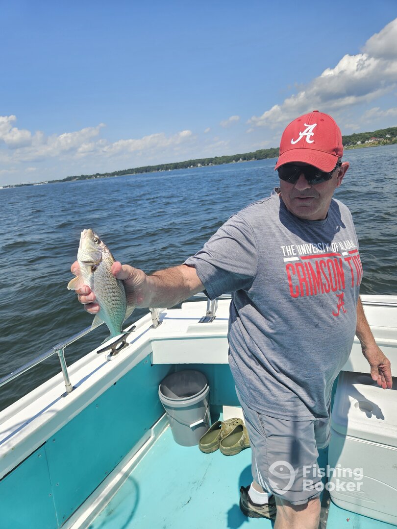 Solomons Report Photo 0