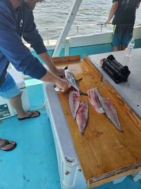 Solomons Report Photo 1