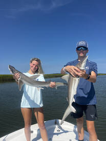 Hilton Head Island Report Photo 2