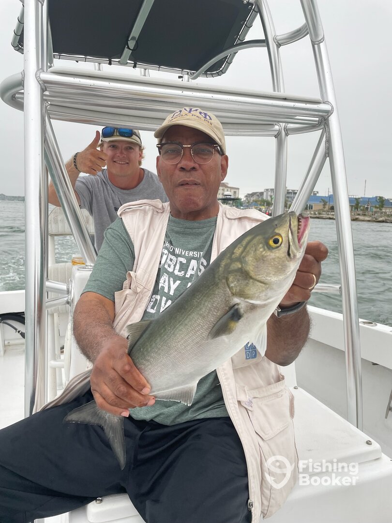 Ocean City Report Photo 0