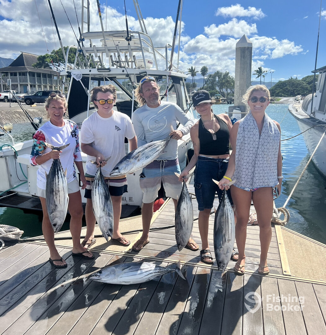 Haleiwa Report Photo 0