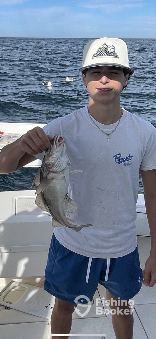 Gloucester Report Photo 0