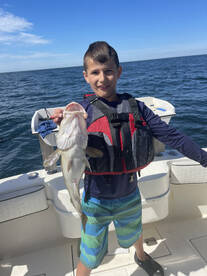 Gloucester Report Photo 2