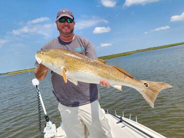 The Bulls are on Fire