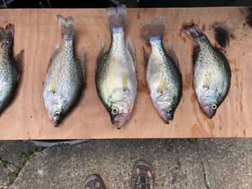 Randleman Report Photo 1